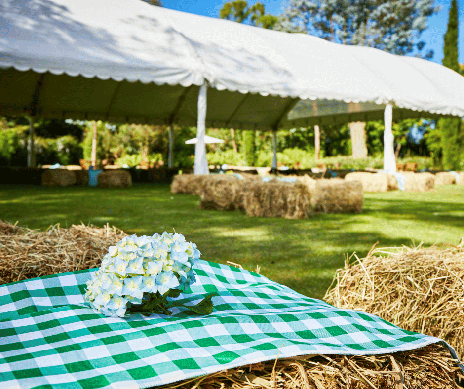 Dia de picnic